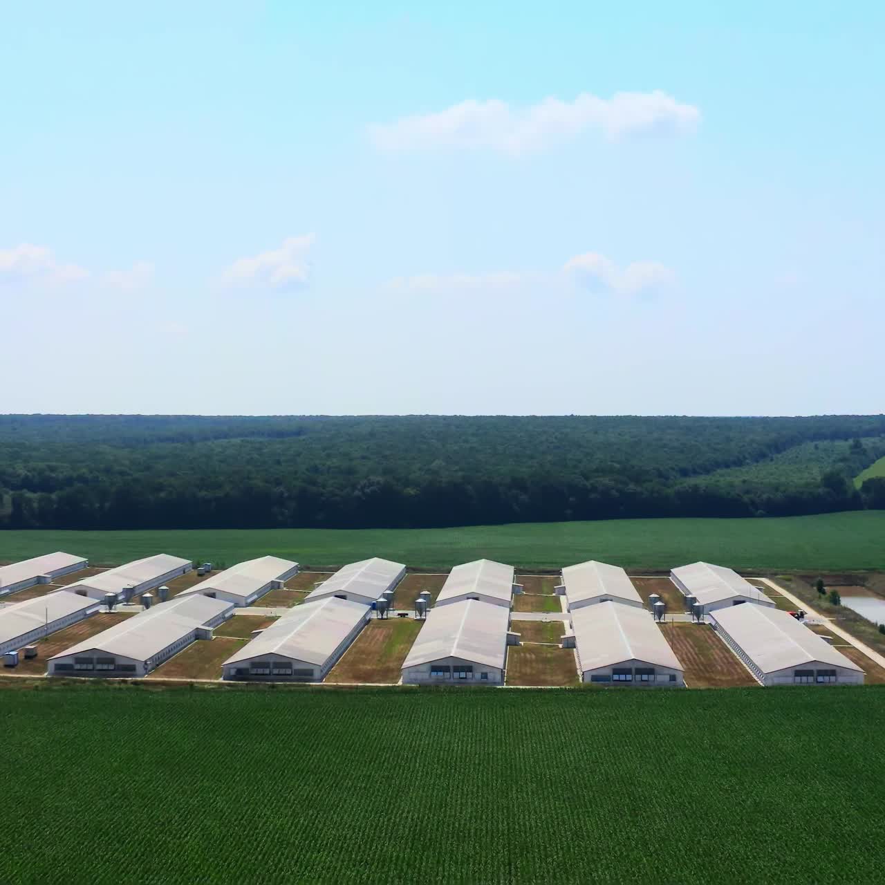 Farm on green landscape. Agriculture business on field in summer. Modern barn houses on beautiful nature background. Aerial view