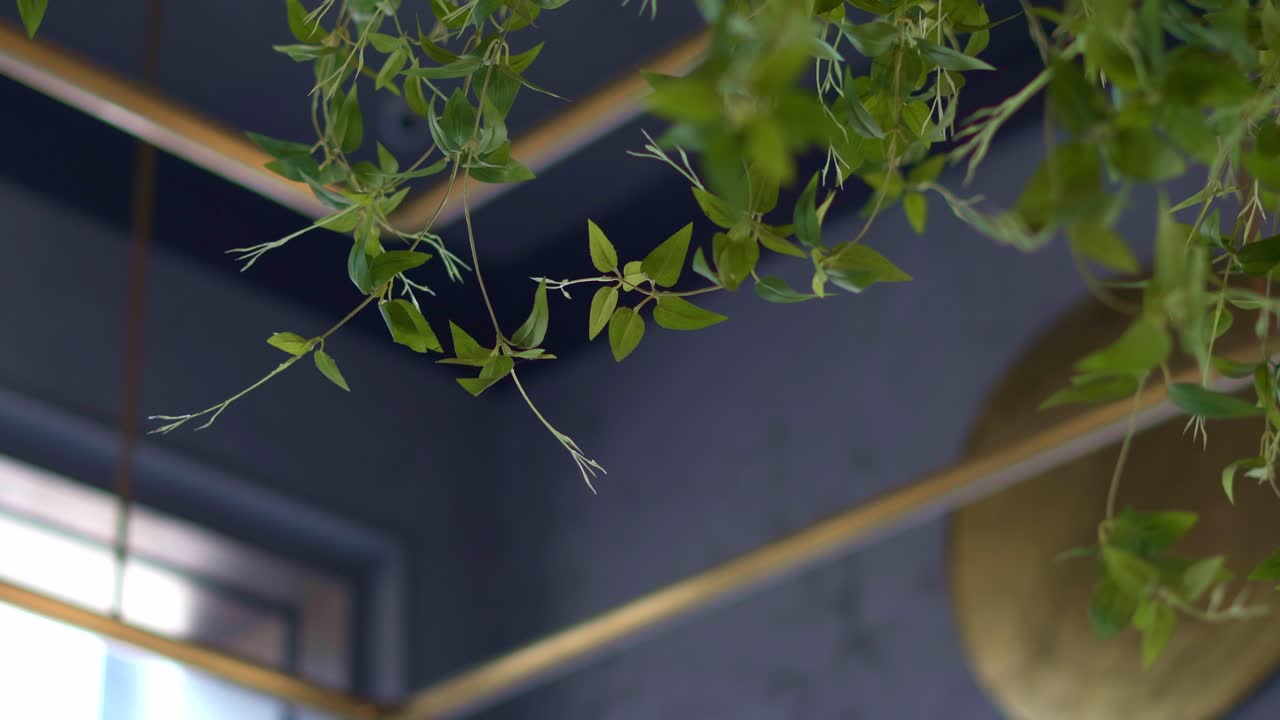 plantas artificiales con hojas y plantas realistas de plástico