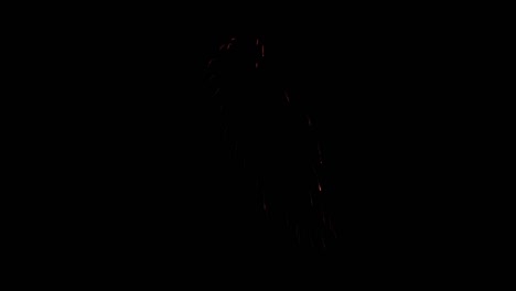 fireworks display explosions night sky birthday anniversary celebration holiday new year event