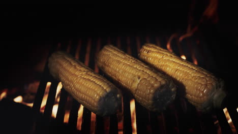 delicious cobs of delicious corn lie on the hot grill grill, cooking on an open fire