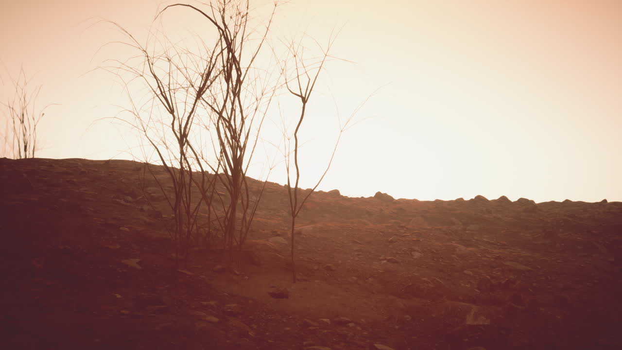 외계 행성 풍경