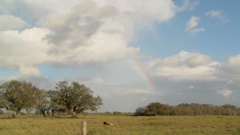 Lapso-De-Tiempo-De-Un-Arco-Iris-Sobre-Un-Campo-Agrícola