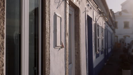 charming european town houses