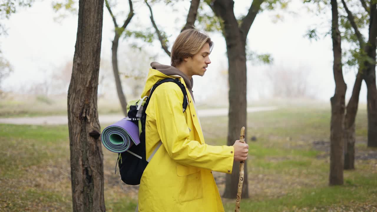 Hiker walks through the forest using wooden stick, carries a backpack