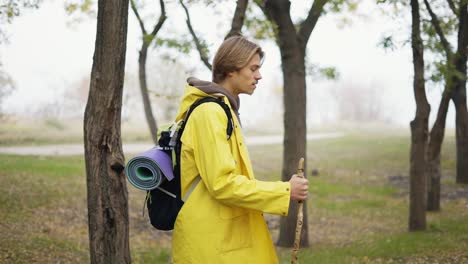 hiker walks through the forest using wooden stick, carries a backpack