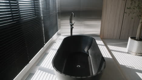 modern black bathtub in a luxurious bathroom