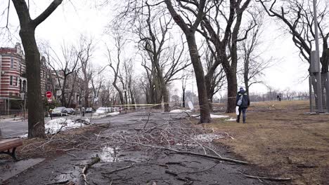 pedestrian walking to avoid debris cordon from tree in winter