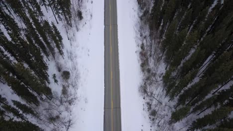 Inclinación-Aérea-Desde-La-Carretera-De-Alaska-Hasta-El-Paisaje-Salvaje,-La-Carretera-De-Aguas-Termales-De-Chena,-Las-Colinas-Nevadas,-El-Exuberante-Bosque-Verde