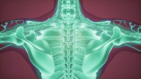 escaneo de imágenes de resonancia magnética en 3d