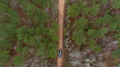 Aerial-of-wooded-forest-area-in-Eatonton,-Georgia