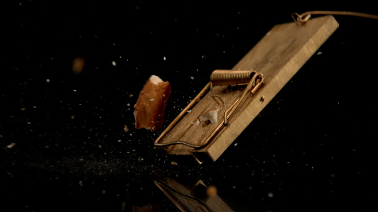 trampa para ratones rompiendo un pedazo de pan