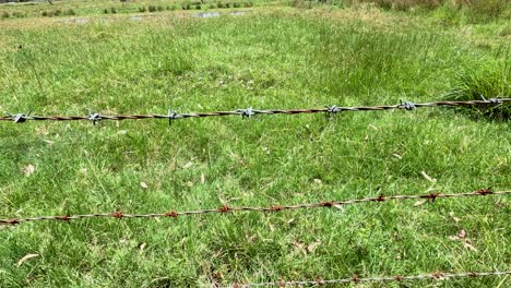 pan across barbed wire fence and grass