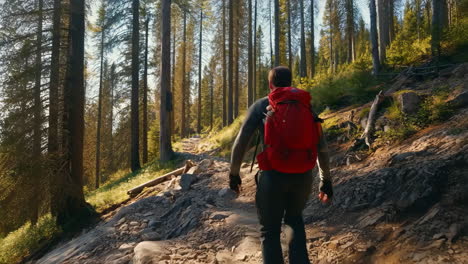 a hiker with a red backpack walks on a rocky trail through a sunlit forest