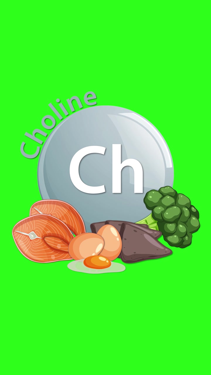 Un'icona lucida dell'elemento colina si anima mentre testo e alimenti illustrati—salmone, uova, fegato, broccoli—appaiono intorno ad essa, su un vivace schermo verde.