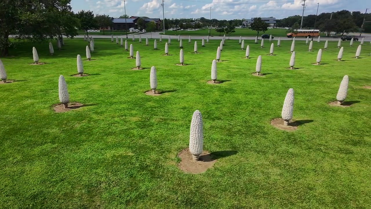 Campo de Milho, instalação de arte em Dublin, Ohio, apresentando espigas de milho de concreto superdimensionadas em um campo.