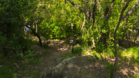fotografía de una excursionista caminando por un camino de grava rodeada de exuberante vegetación verde en un día de verano en la isla de capri, italia