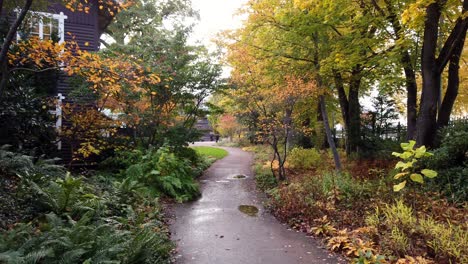 camino vacío al lado de un edificio residencial rodeado de árboles en colores otoñales