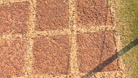 shadow moves across patterned ground over time