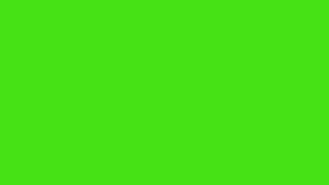 close up silhouette shot of woman walking across frame against green screen background with low key lighting 1