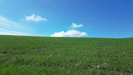 Fliegen-Mit-Einer-Drohne-über-Einer-Grünen-Wiese-Mit-Einigen-Spektakulären-Bergen-Im-Hintergrund-Und-Einem-Blauen-Himmel-Mit-Weißen-Wolken