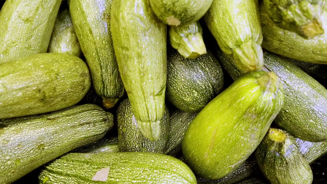 Zucchina zucca estiva ortaggio pianta frutto fresco eco bio.
