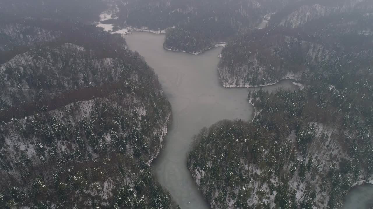 toma aérea de un lago congelado rodeado de bosque en invierno