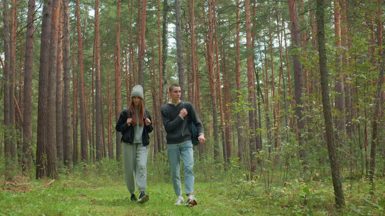 Researchers walking through dense forest holding straps of travel bags, surrounded by tall pine trees and lush greenery, appearing focused and observant as they move along natural trail