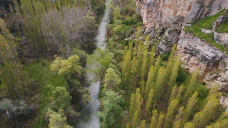 Aerial-drone-shot-flying-ove-river-passing-through-Ihlara-Canyon-in-Cappadocia,-Turkey