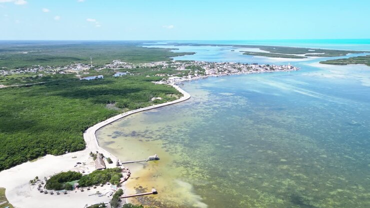 Vista aerea panoramica di Rio Lagartos, Yucatan, Messico, con natura rigogliosa e costa