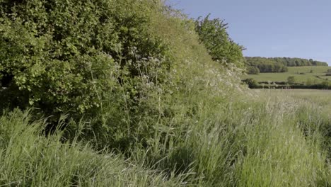 Paisaje-De-Tierras-De-Cultivo-Inglesas-En-Yorkshire