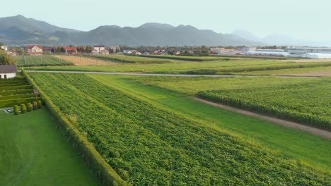 Panoramablick-über-Die-Ländliche-Gegend-Von-Sempeter,-Zalec-In-Slowenien,-Dolly-Links