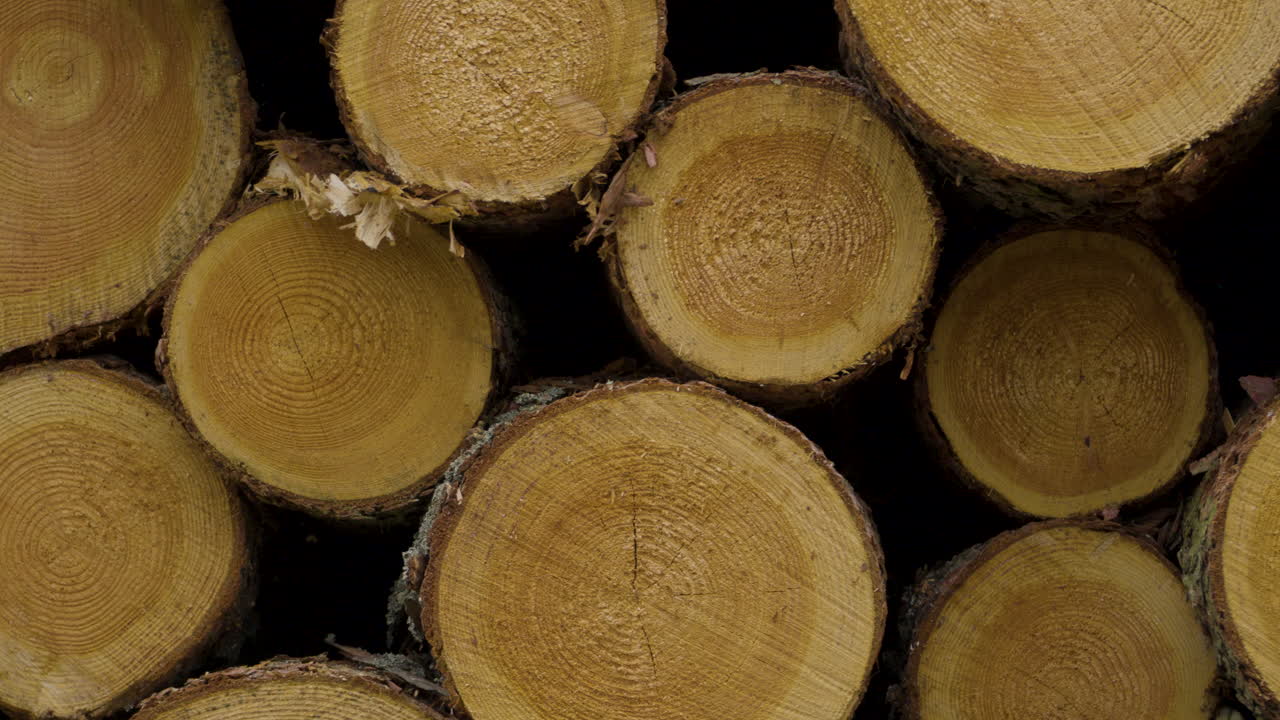 Stacked rounded logs - close up panning, lumbering business
