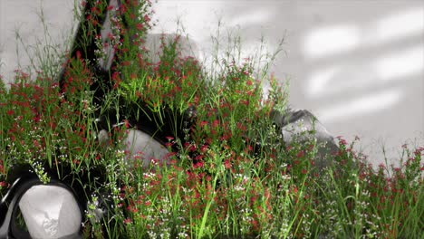 floral arrangement on rocks