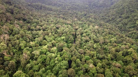 vista aérea de la carretera escondida en el bosque verde de la selva en la isla de sumbawa, indonesia