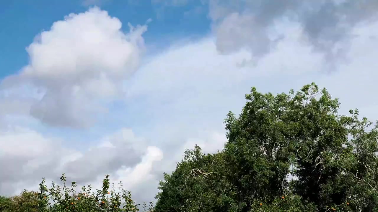 Time lapse of clouds as they move across a summer sky with green trees.