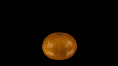 isolated: one clementine orange revolves slowly on black background