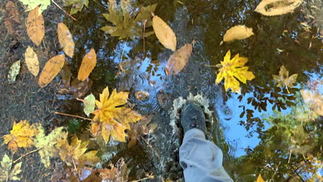 walking through a clear puddle with fall leaves in it in slow motion with the water splashing up