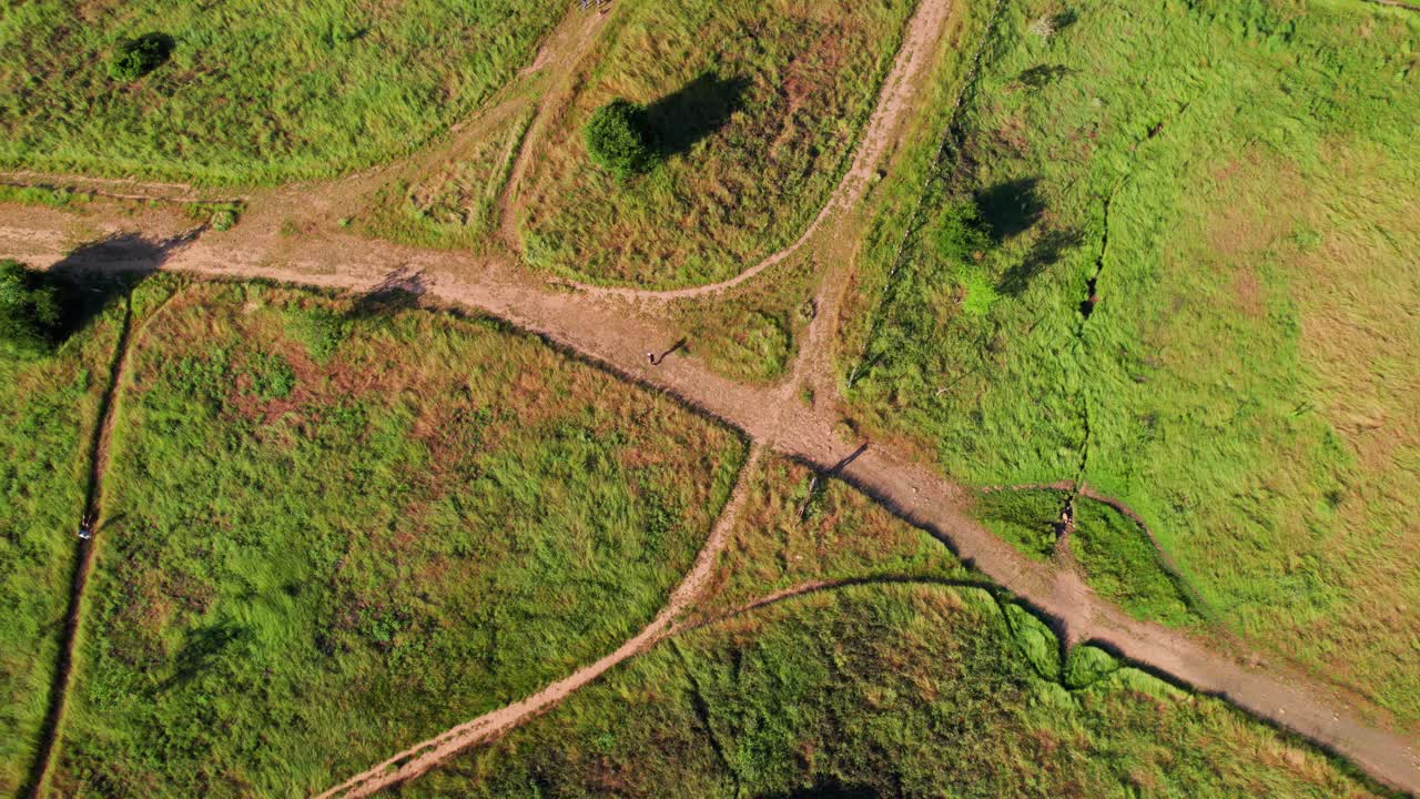 Napa Valley, California. Aerial bird's-eye view of a person running along intersecting trails surrounded by vibrant green grass and trees casting shadows during sunrise.