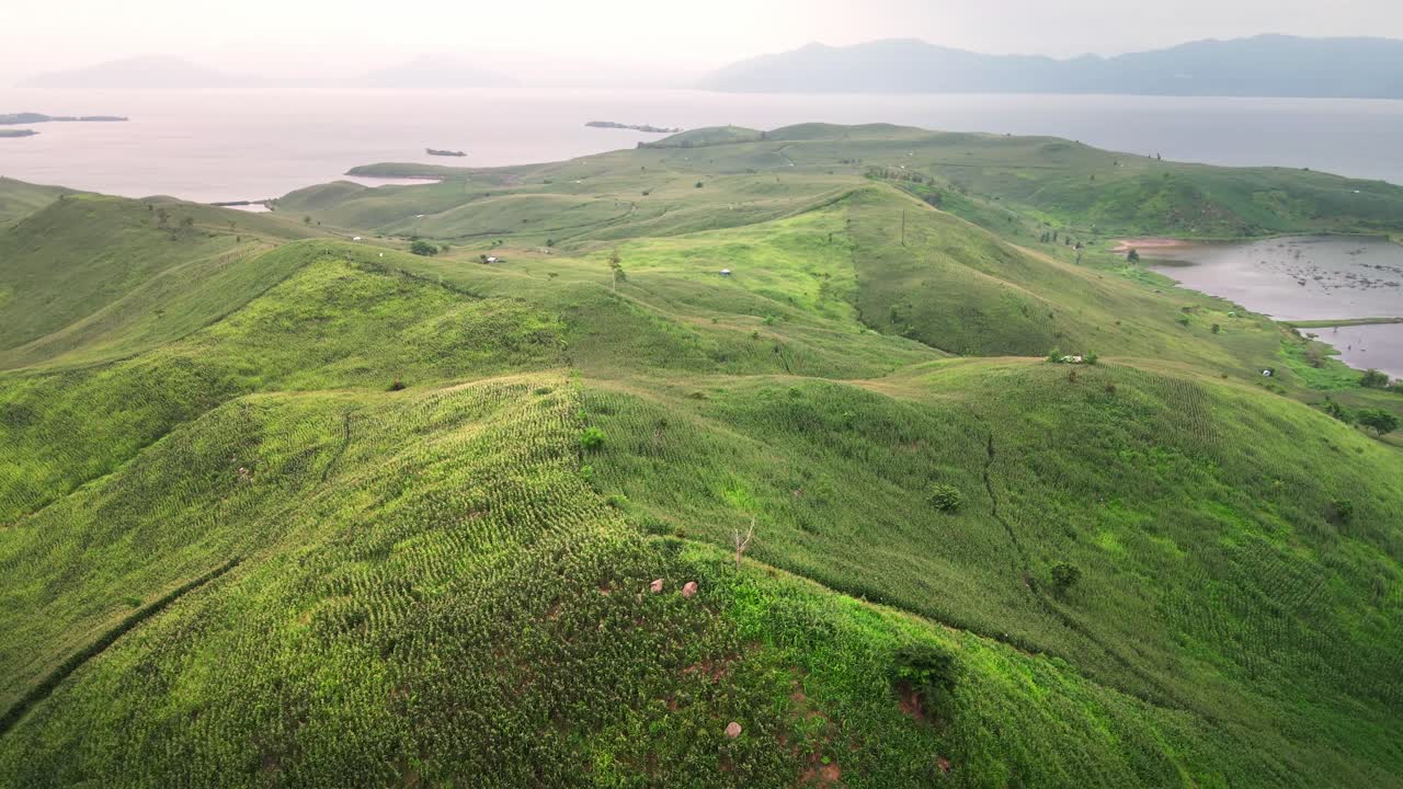 снимок с беспилотника крупным планом сельскохозяйственных угодий с растущими полями кукурузных плантаций на фоне гор на острове сумбава, индонезия