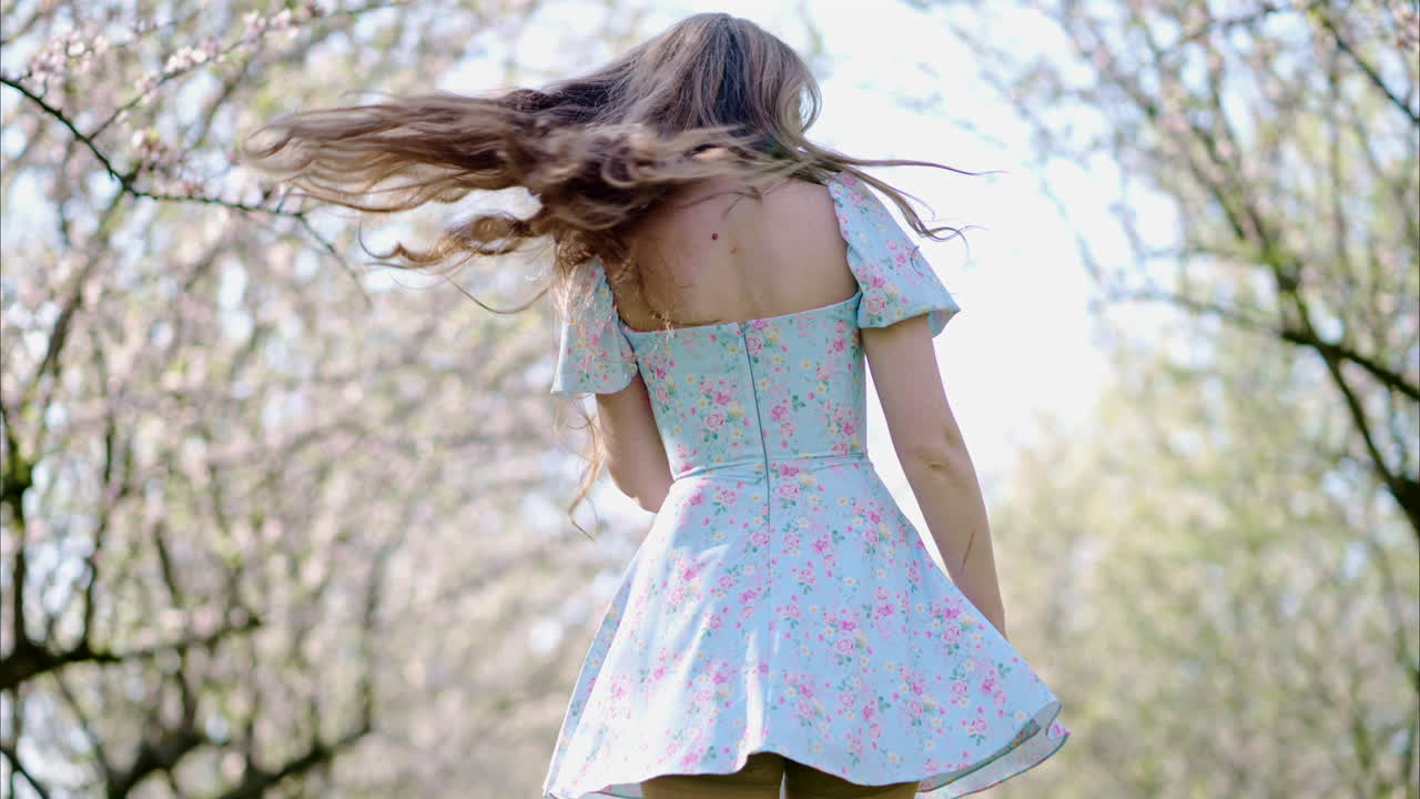 Brunette woman in a blue dress spinning in a field of blooming almond trees