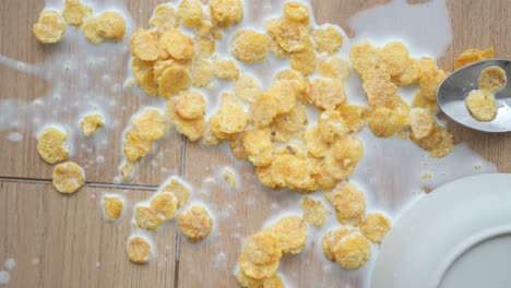 un cuenco de cereales y leche derramado en el suelo