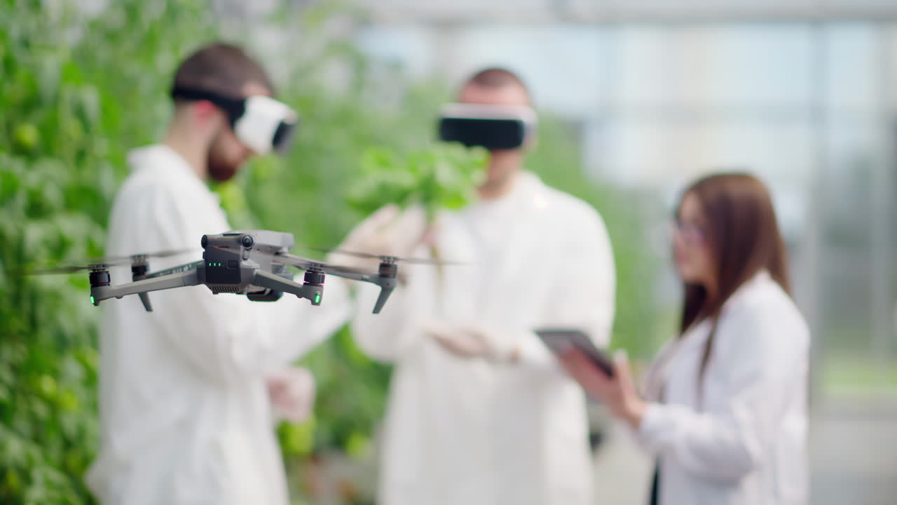 Drone filming three laboratory technicians in white coats wearing Virtual Reality headset, working with plants grown with the Hydroponic method in a greenhouse