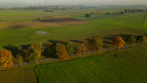 Molinos-De-Viento-Y-Hermoso-Paisaje-Verde-De-Granja-De-Napromek,-Polonia--antena