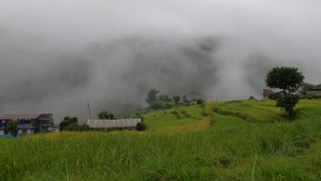 Una-Hermosa-Vista-Panorámica-De-Los-Arrozales-Verdes-En-Terrazas-En-Una-Ladera-Con-Una-Tormenta-De-Lluvia-Y-Una-Fuerte-Niebla-Moviéndose-A-Través-Del-Valle