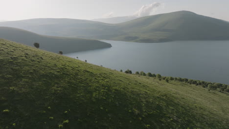 tranquil, misty scenery of an empty grassland and calm lake in early morning