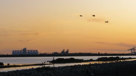 a shot of a beach as dusk with industry in the background and pelican flying past