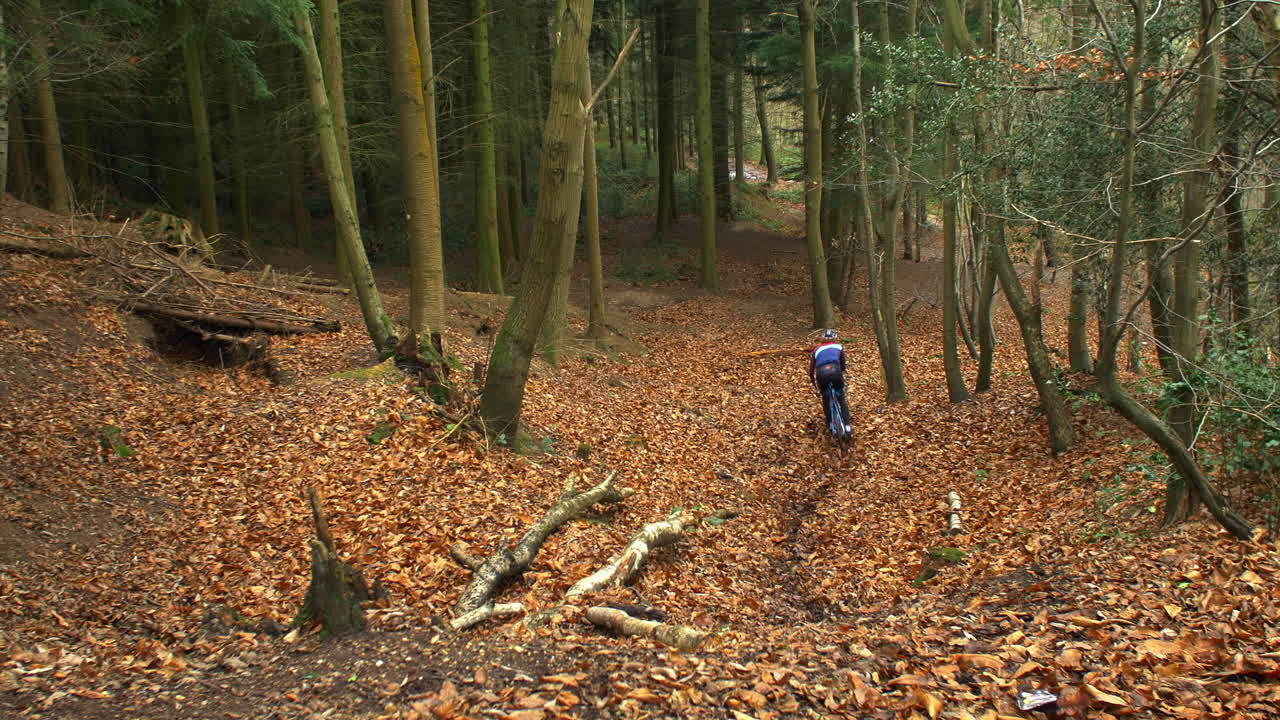 숲에서 크로스컨트리 자전거를 타는 젊은 남성, 높은 시야, r3d에서 촬영