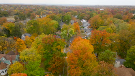 aerial over street in suburban neighborhood with gorgeous fall color