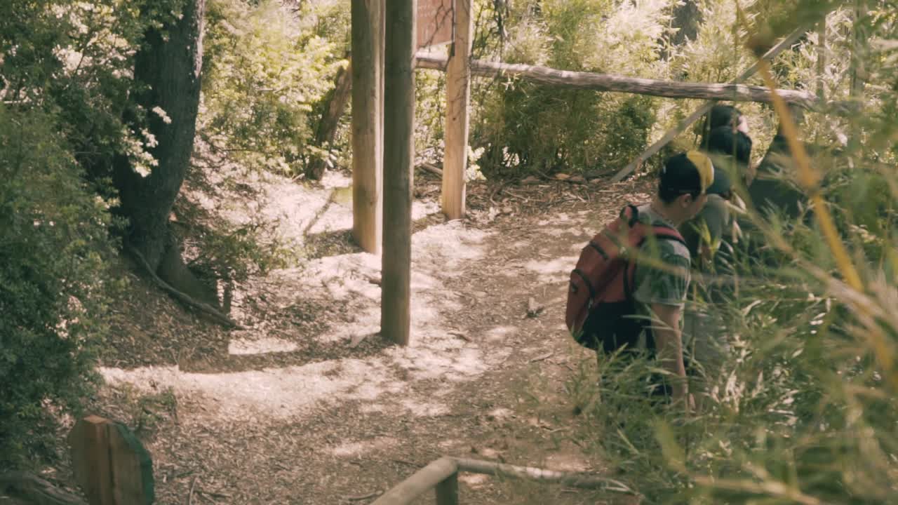 group of friend exploring th mountains