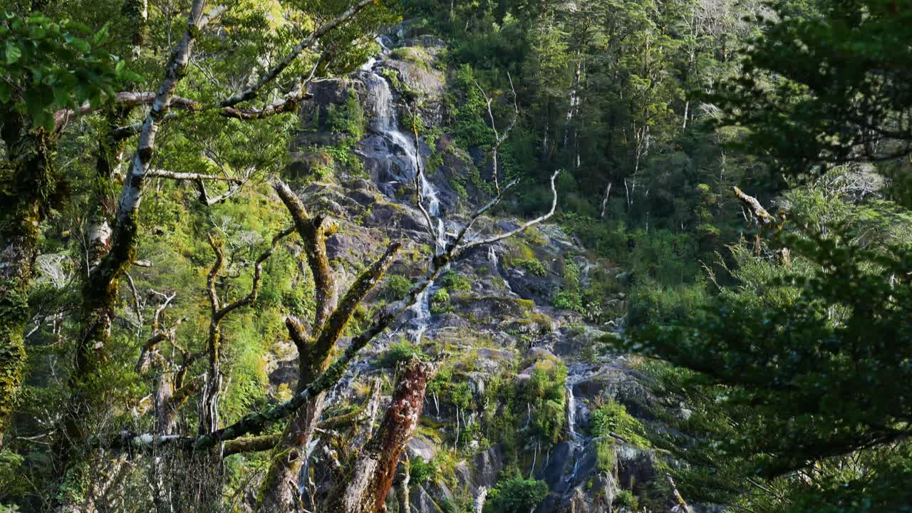 Ripresa con movimento di tilt in basso di una cascata idilliaca che scende dalle verdi montagne della Nuova Zelanda.